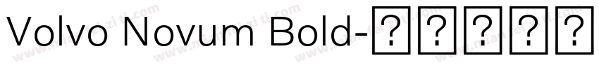 Volvo Novum Bold字体转换